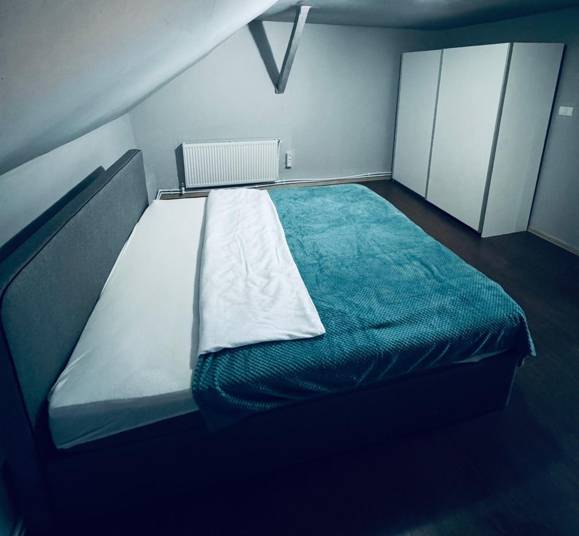 Serbian House ティミショアラ エクステリア 写真